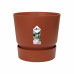 Polyscias Fabian in Elho® Greenville pot