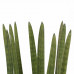 Decorum Sansevieria Cylindrica straight met Elho brussels antracite