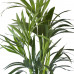 Kentia Palm in ELHO sierpot (Brussels Round wit)
